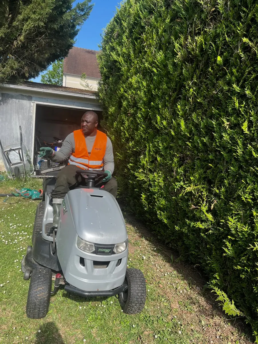 Taille de haies de thuyas et tonte combinées pour la remise en forme d’un jardin en Île-de-France
